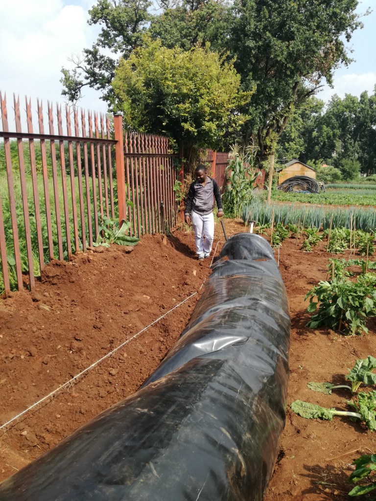 Site photo showing trees and perimeter security fencing at the biodigester project location.